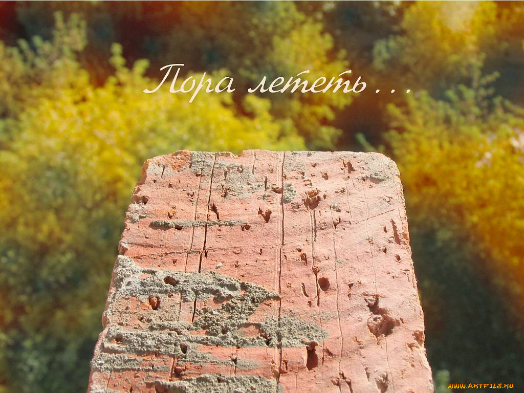 , 